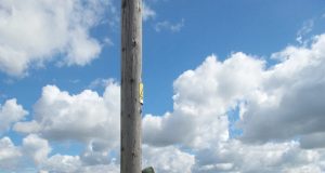 Darbo biržos Rokiškio skyriuje šiuo metu moksleiviams siūlomos dvi laisvos darbo vietos – pagalbiniam darbininkui statybose ir pagalbiniam darbininkui žemės ūkio darbams. R. Rėkutės nuotr.