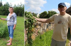 Žolės konfliktas: kas mėtė, o kas ne?