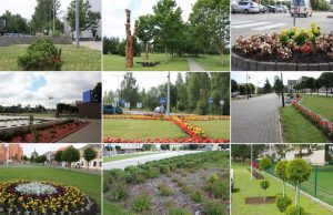 Miesto gėlynai – neišsprendžiamas galvosūkis: nėra profesionalių želdintojo ir iniciatyvų