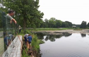 Gyventojų nerimą sukėlė bebrų „darbeliai“