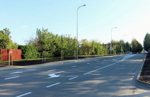 Perkūno gatvėje – eismo pokyčiai ir žaliuojančios liepaitės