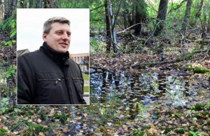 Lietus kirto ir miškininkams: biržės skęsta, miško ruošos technika – bejėgė