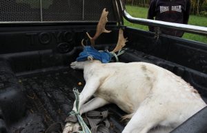 Prieš Šv. Hubertą – ne apie trofėjus ar tradicijas