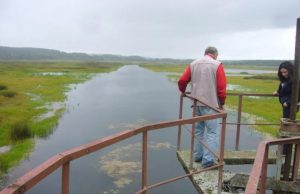 Už kritusias žuvis – ieškinys savivaldybei ir žuvininkystės bendrovei