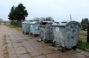 Kapinių vaduoti nereikėjo