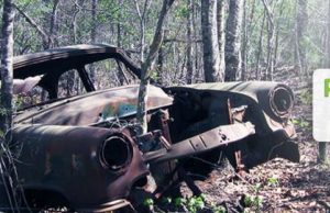 Aplinkosaugininkai organizuoja reidus