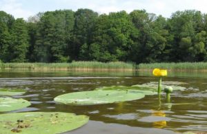 Poilsį gali susigadinti ir pats