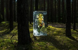 Prie dvaro – ledo skulptūros