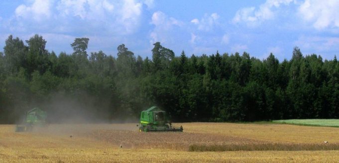 aldona javapjūtė foto