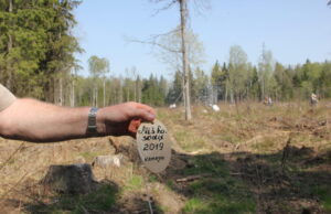 Tradicinėje miškasodžio talkoje talkininkai eglaitėmis atkūrė Kamajų šilo kirtavietę. A.Minkevičienės nuotr.