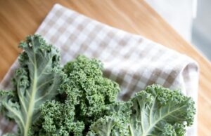 Lapiniai kopūstai. Kur juos pirkti?