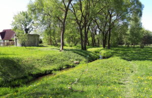 Netrukus prasidės Laukupės pakrančių rekonstrukcija
