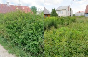 Prieš nenušienautų sklypų šeimininkus ginklų nėra