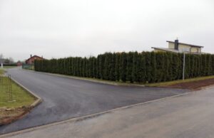 Asfaltas – už privačias lėšas