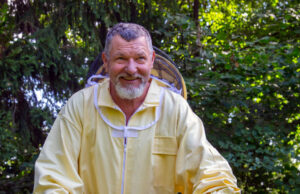 Nuo ko priklauso remontantinių aviečių derlius?