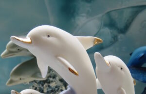 Kolekcija gimė iš „Delfinų“ dainų