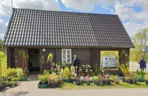 Rokiškyje – nauja dekoratyvinių bei daugiamečių augalų parduotuvė