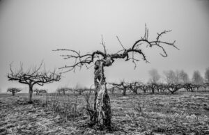 Parodoje – vaizdai, leidžiantys pajusti ypatingą atmosferą