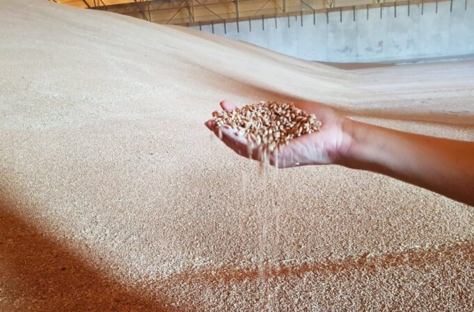 grudai-5f34e5f32264f