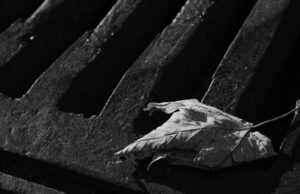 Nuotekų valymo įrenginys – ar kaina tikrai svarbiausia?