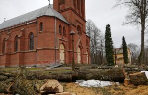 Apšvarintas Panemunėlio bažnyčios šventorius neliks be naujų medžių