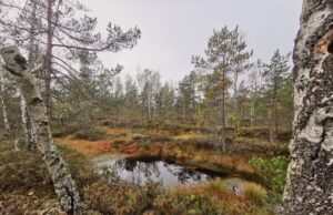 Pelkės kadrui nebuvo lygių