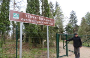 Tervydžių kaime projekto pabaigtuvėmis dar nekvepia, gelbsti talkos