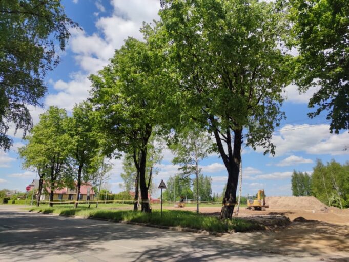 195308368_958392008311139_1078023723045117697_n