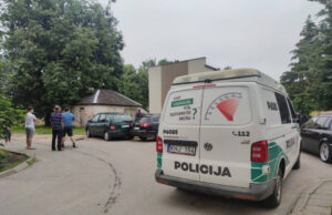 Šūkavimai, smūgis ir pasišalinimas iš įvykio vietos