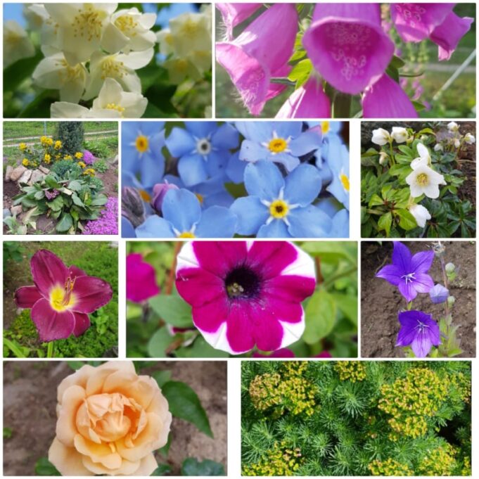 206600926_164982322345590_6974626997088475030_n (1)