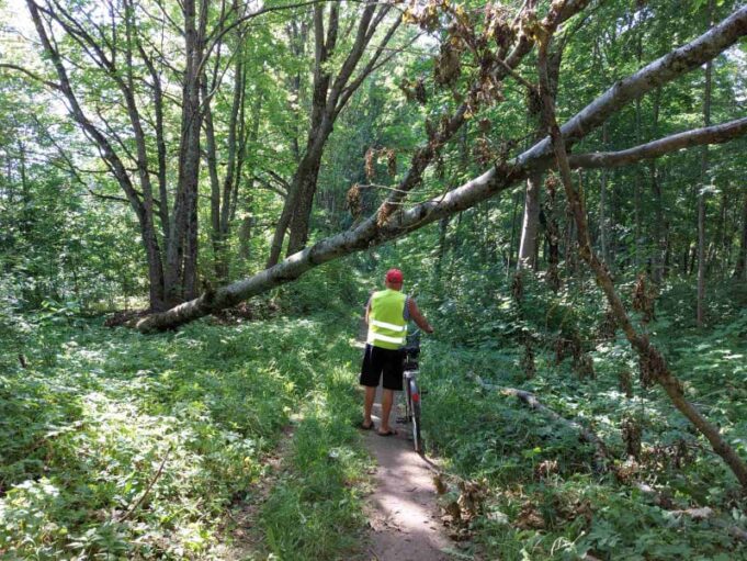 213657918_136748115236020_8216299082469982125_n