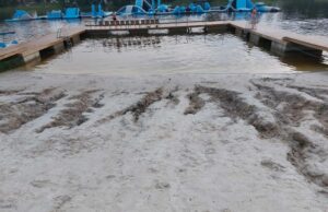 Praūžusi liūtis paliko pėdsakus ir prie Rokiškio ežero