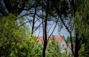 Kalėdų senelis leidosi į žvejybą