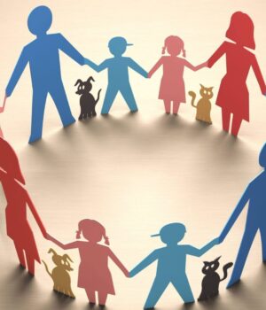 28337769_428254294278325_9031933733790606459_o