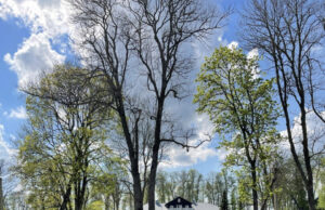 Gačionių dvaras – naujų savininkų rankose. Šeimininkai ketina tęsti tradicijas