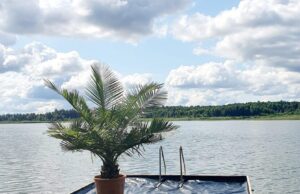 Dviragio ežere plaukiančios salos vizija virsta realybe