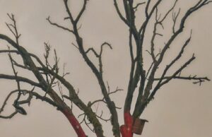 Sužavėjo kaimiškas neįprastas vaizdas