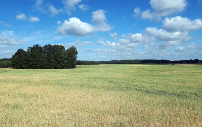 20180620_093432-681x429