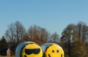 Kamajų lankytojus ir vėl pasitiks išdabinti šieno ritiniai