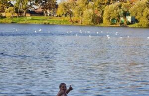 Rokiškio „ruoniai“ atidarė maudynių sezoną