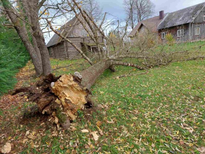 viber_image_2021-10-25_12-43-43-869