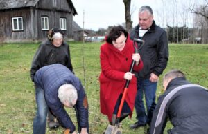 Keliuočių sodyboje atsodintas vėjo išverstas uosis