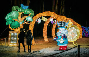 Pakruojo dvaras kviečia į didžiausią kalėdinį festivalį Baltijos šalyse – „Stebuklų šalyje“