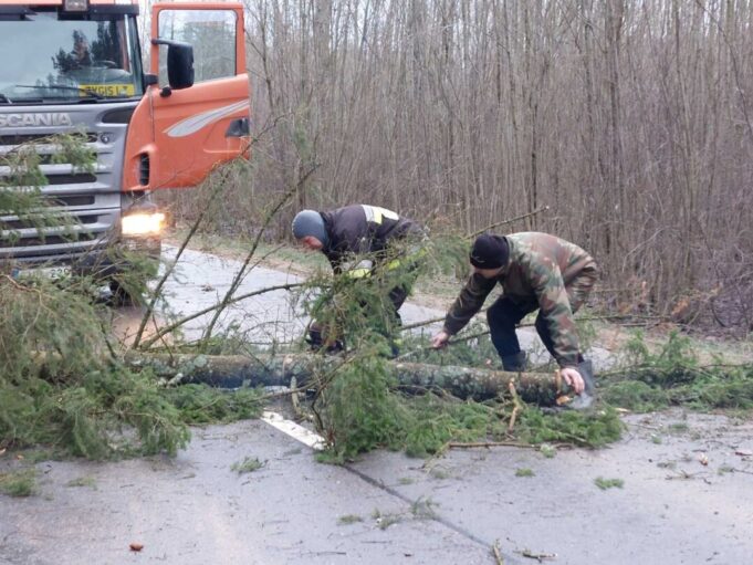 viber_image_2022-01-14_10-00-04-554