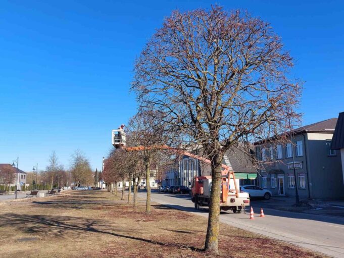 viber_image_2022-03-17_15-47-58-879