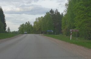 Kelyje Bajorai–Juodupė – jauni ir drąsūs briedžiai