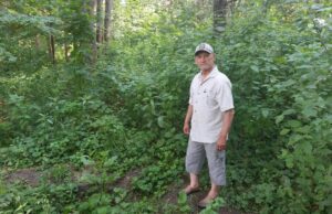 Ar šaltinėlis prie Rokiškio ežero gali tapti visiems prieinamas?