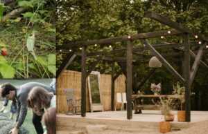 Augalininkystės ir ekologijos sąsaja – meilė gamtai