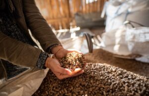 Ar medienos granulių kokybė daro tiesioginę įtaką granulinių katilų efektyvumui?