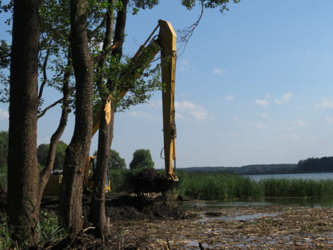 Dumblo krūvos bus išskirstytos.